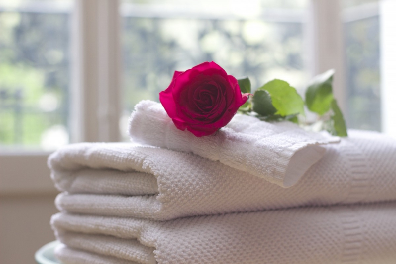 chambre-hote-TRANS EN PROVENCE-min_towel_rose_clean_care_salon_spa_white_bath-731641